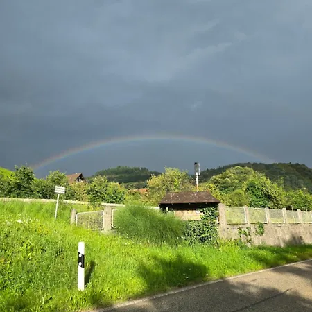 Aussergewoehnliche 5 Penthouse In * 凯尔