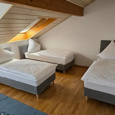 Apartamento Aussergewoehnliche 5 Penthouse In Kehl